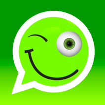 Whatsapp-Status